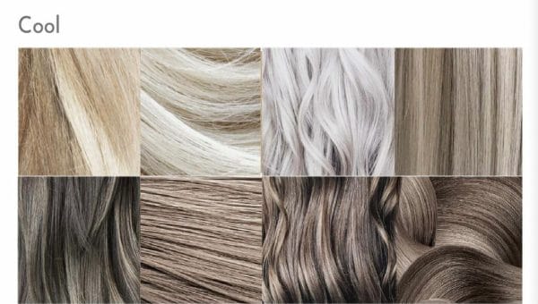 Cool hair colours in the colour analysis guide