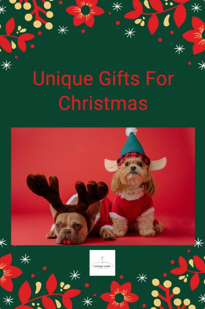 two dogs dressed in Christmas gear
